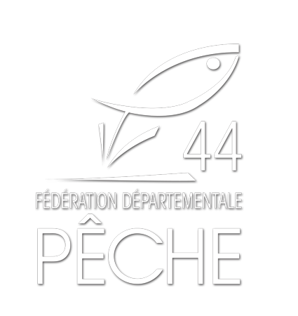Ouverture de la pêche du brochet à partir du samedi 29 avril 2023   Fédération de Maine-et-Loire pour la Pêche et la Protection du Milieu  Aquatique